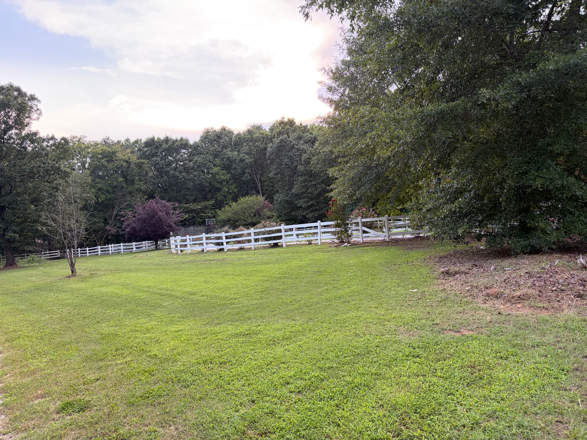 Gallery photos for Airbnb Landscape Cleanup and Lawn Maintenance Done Right: Image #4