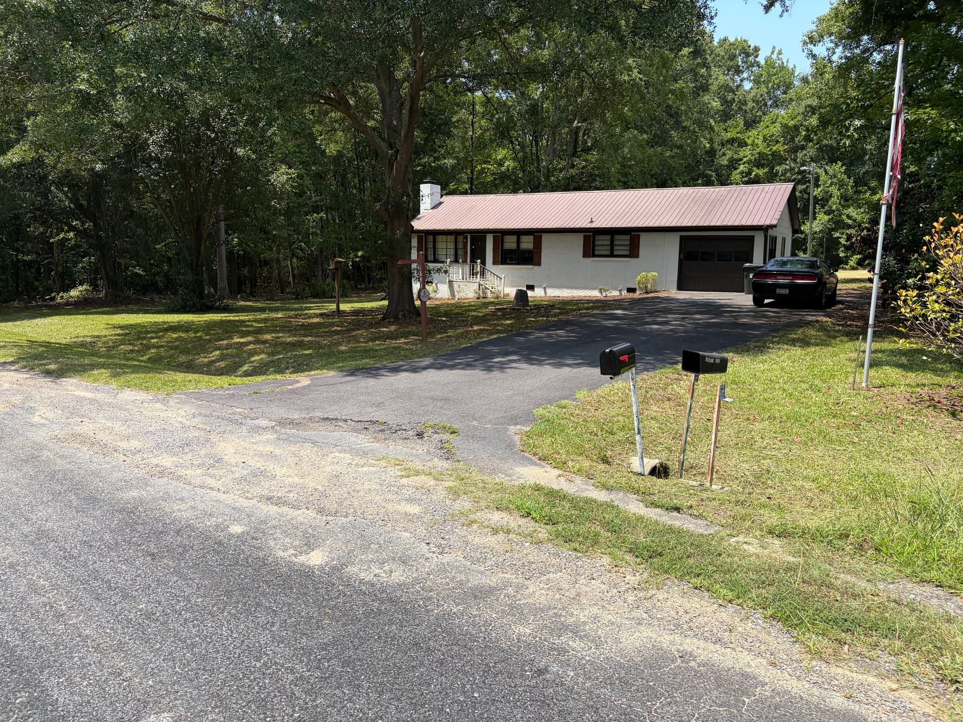 Gallery photos for Overgrown Property Gets a Full Yard Cleanup and Fresh Start: Image #1