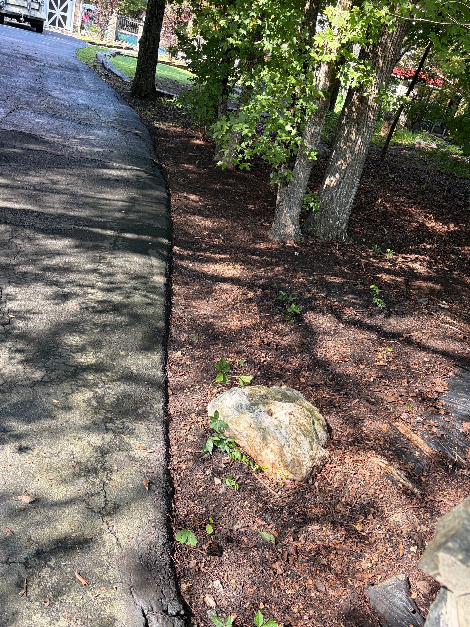 Gallery photos for Airbnb Landscape Cleanup and Lawn Maintenance Done Right: Image #9