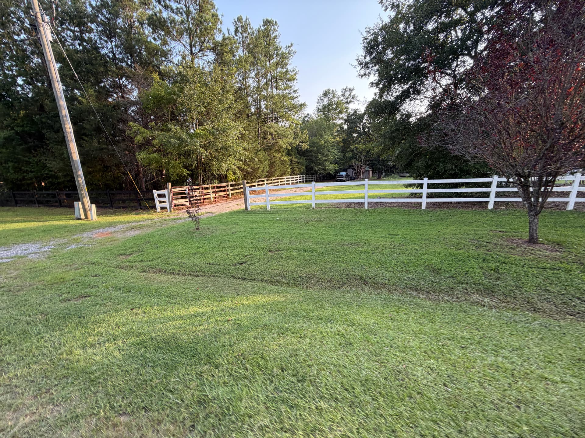 Gallery photos for Airbnb Landscape Cleanup and Lawn Maintenance Done Right: Image #5