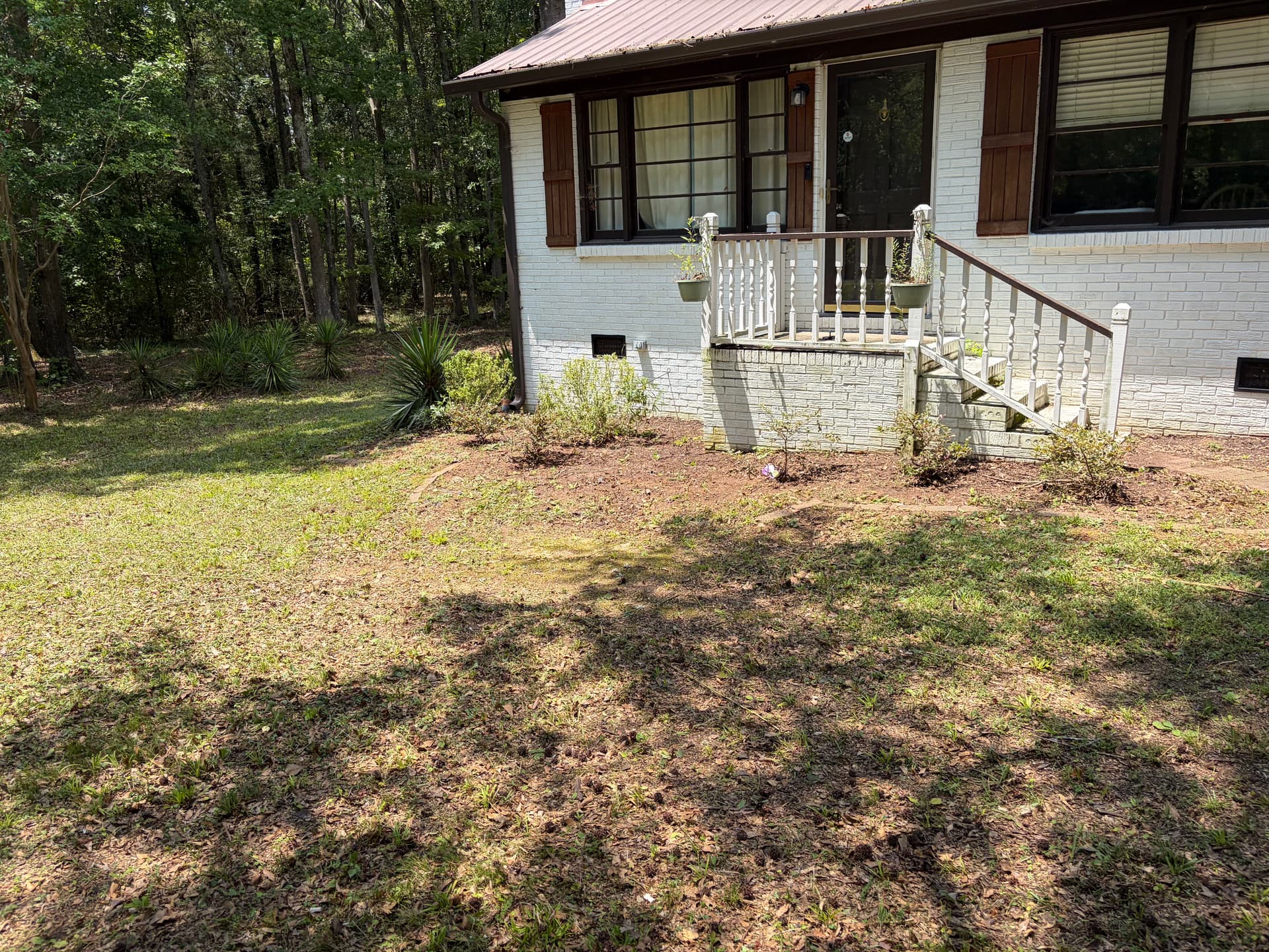 Gallery photos for Overgrown Property Gets a Full Yard Cleanup and Fresh Start: Image #4