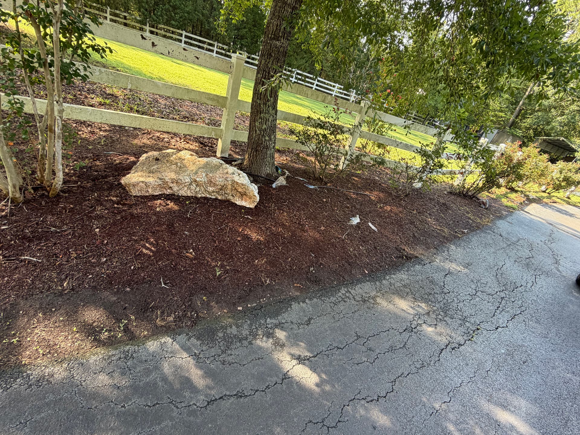 Airbnb Landscape Cleanup and Lawn Maintenance Done Right image