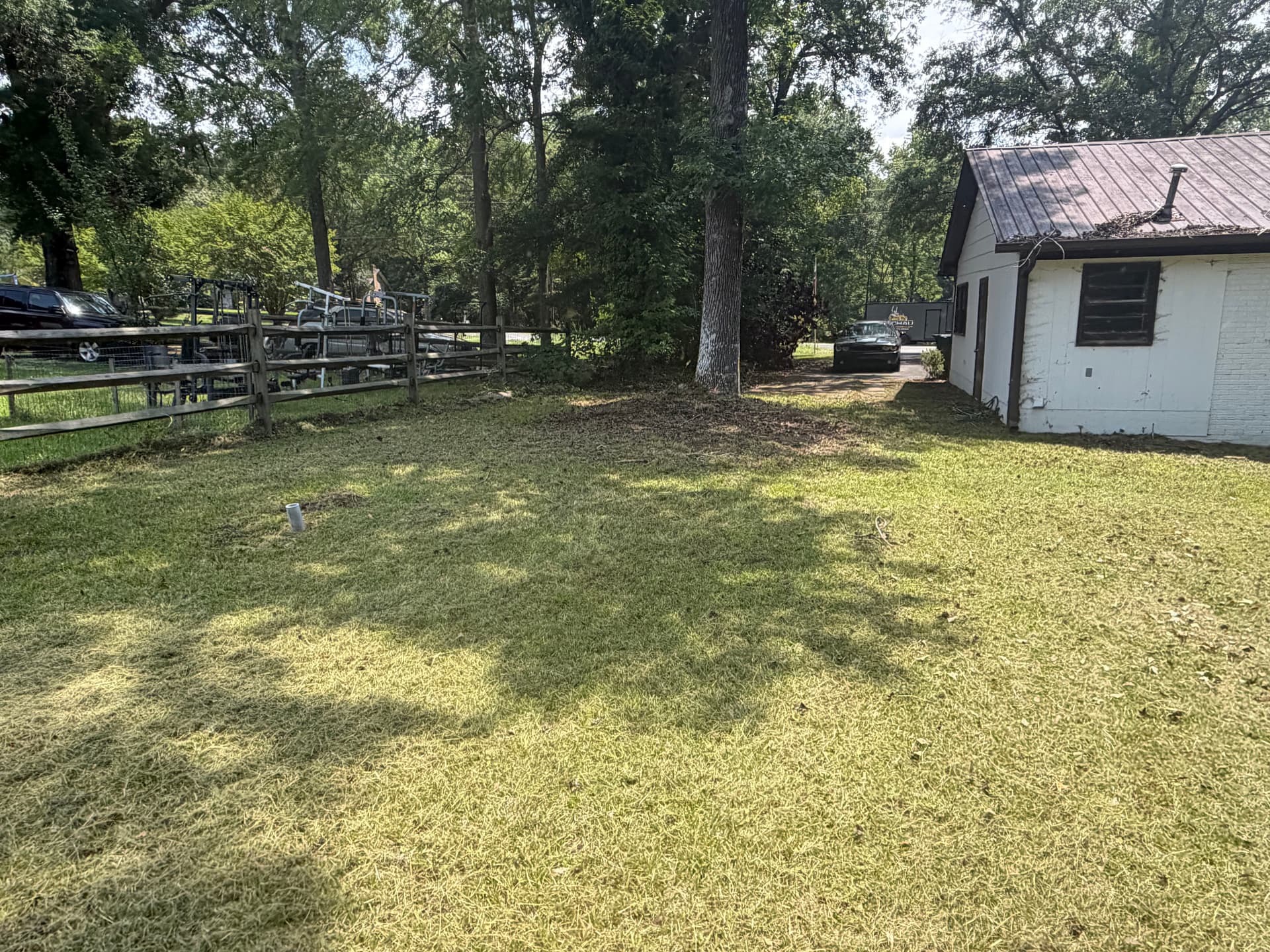 Gallery photos for Overgrown Property Gets a Full Yard Cleanup and Fresh Start: Image #8