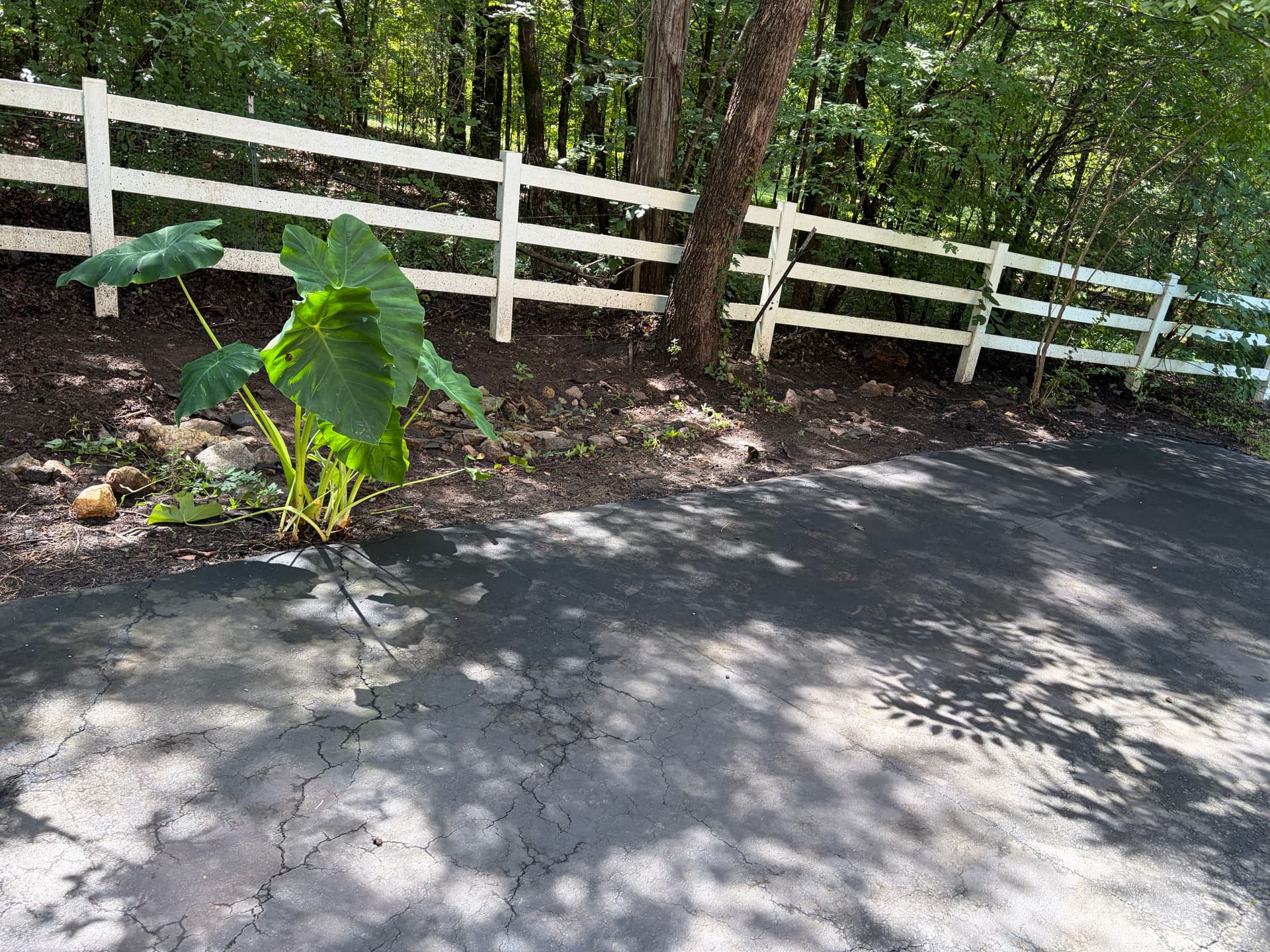 Gallery photos for Airbnb Landscape Cleanup and Lawn Maintenance Done Right: Image #8