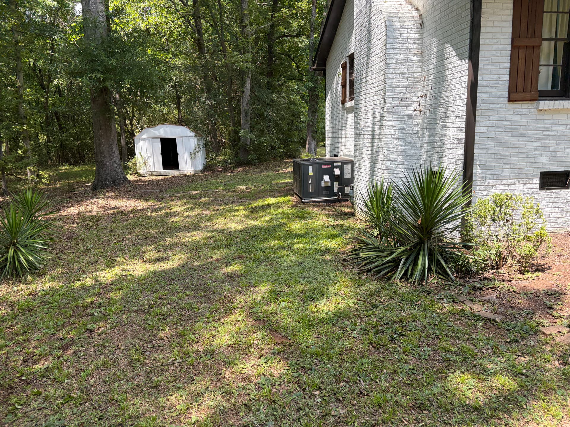 Gallery photos for Overgrown Property Gets a Full Yard Cleanup and Fresh Start: Image #5