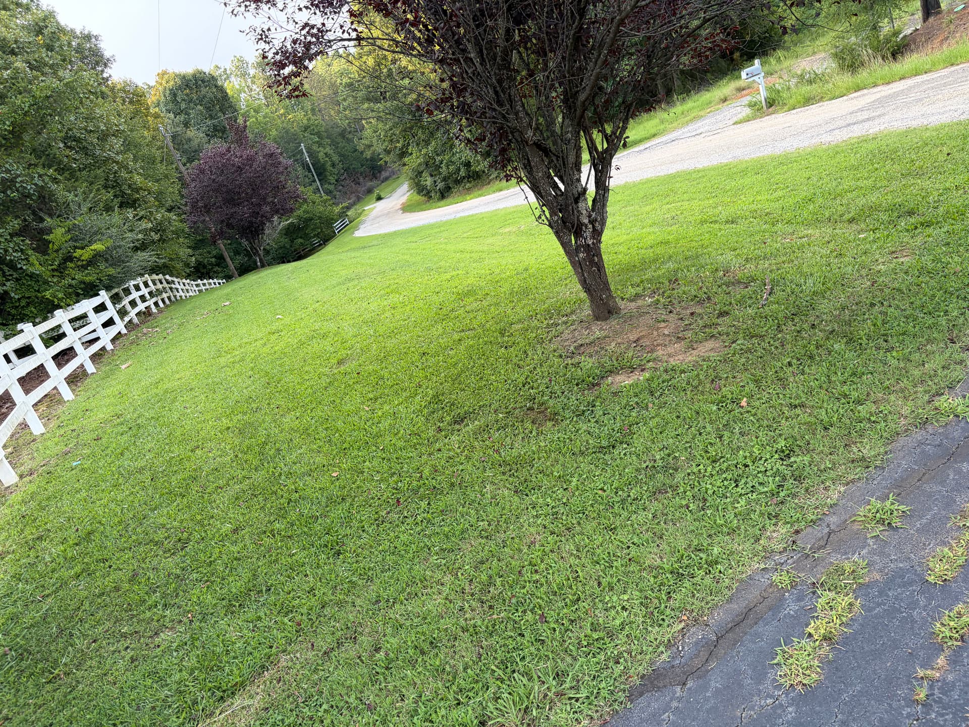 Gallery photos for Airbnb Landscape Cleanup and Lawn Maintenance Done Right: Image #7